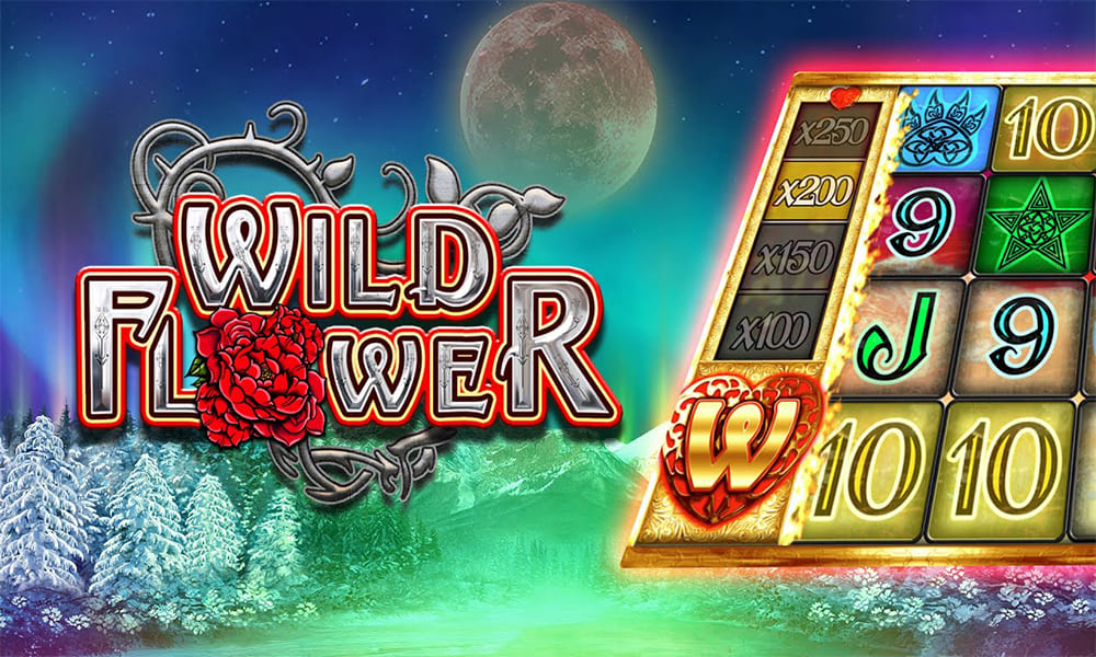 Petualangan Menyenangkan di Dunia Slot Wild Flower